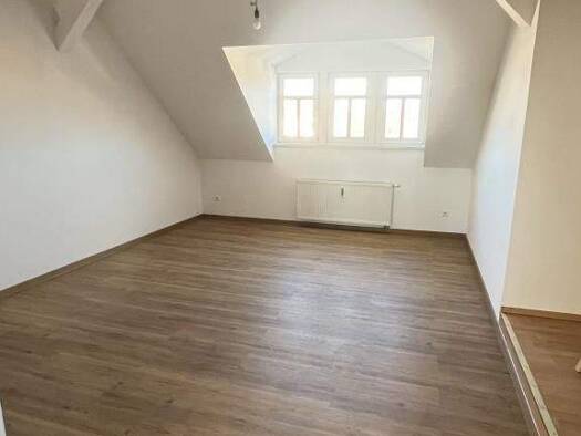 Wohnung zur Miete 338 € 2 Zimmer 45 m² 1. Geschoss Badergraben 4 Wurzen 04808
