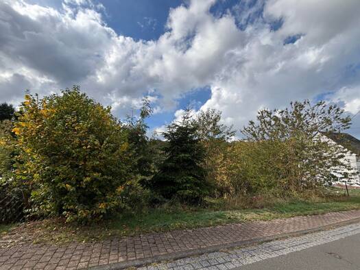 Grundstück zum Kauf 29.000 € 1.076 m² Grundstück Rorodt 54411