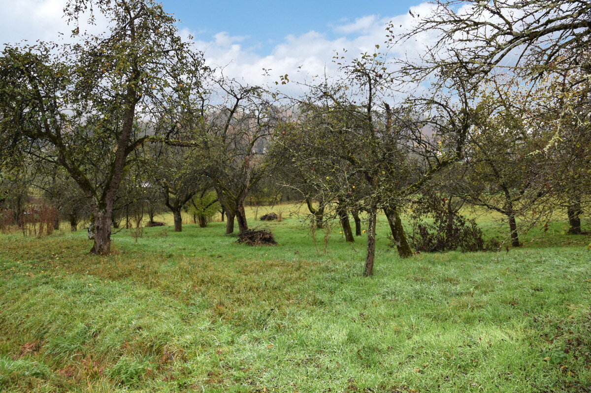 Grundstück zum Kauf 245.000 € 1.473 m²<br/>Grundstück Niedermirsberg Ebermannstadt / Niedermirsberg 91320