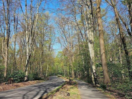 Terrassenwohnung zur Miete 12.500 € 6 Zimmer 291 m² EG Müngersdorf Köln 50933