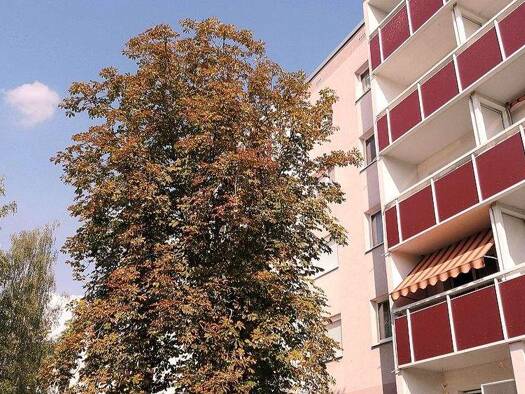 Wohnung zur Miete 356 € 3 Zimmer 57,8 m² 1. Geschoss Erhard-Hübener-Straße 36 Silberhöhe Halle (Saale) 06132