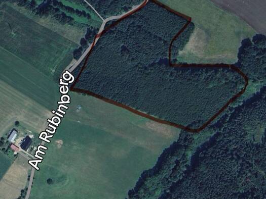 Forstwirtschaft zum Kauf provisionsfrei als Kapitalanlage geeignet 118.000 € 69.650 m² Grundstück Greifendorf Rossau 09661