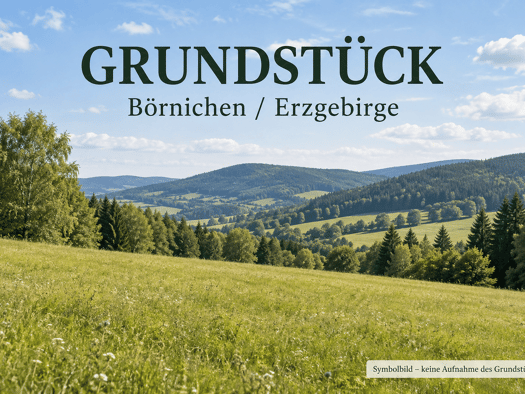 Grundstück zum Kauf 78.370 € 922 m² Grundstück Börnichen 09437