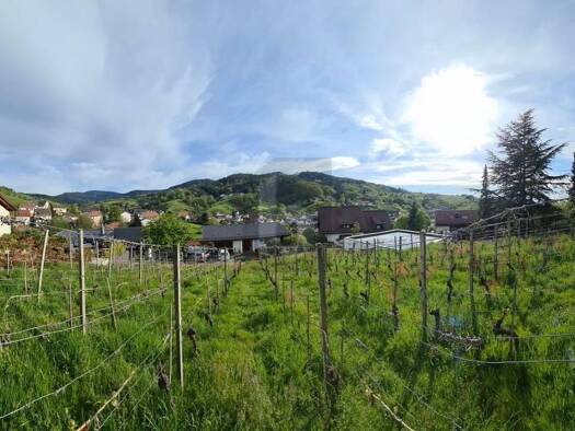 Grundstück zum Kauf 770 m² Grundstück Bühlertal 77830