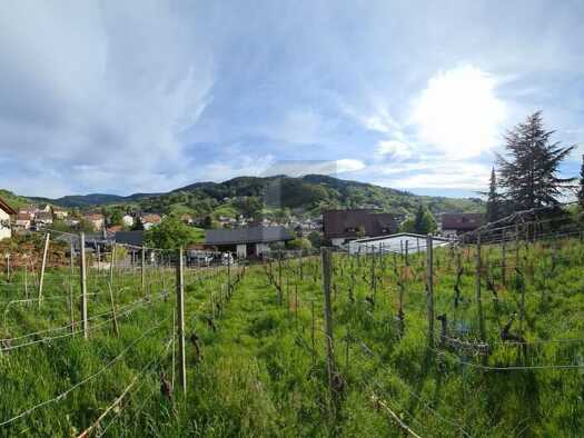 Grundstück zum Kauf 770 m² Grundstück Bühlertal 77830