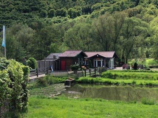 Einfamilienhaus zum Kauf 222.000 € 3 Zimmer 167 m² 14.527 m² Grundstück Beverungen 37688