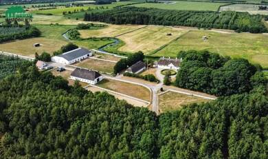 Einfamilienhaus zum Kauf 2.900.000 € 8 Zimmer 640 m² 100.000 m² Grundstück Harrislee Harrislee 24955
