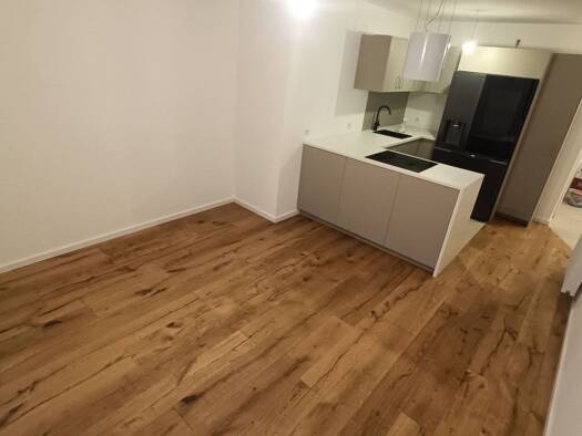 Wohnung zur Miete 730 € 2 Zimmer 38,5 m² Geschoss EG/1 frei ab 15.12.2025 Aidlingen 71134