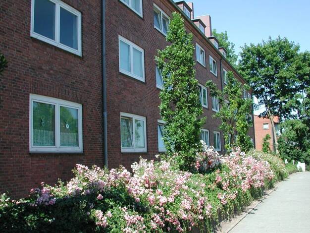 Wohnung zur Miete 380 € 1,5 Zimmer 41,9 m² frei ab 19.04.2026 Ostring 183 Gaarden-Süd Kiel 24143
