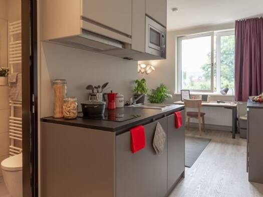 Studio zur Miete 519 € 1 Zimmer 20 m² 1. Geschoss Karl-Liebknecht-Straße 144 Südvorstadt Leipzig 04275