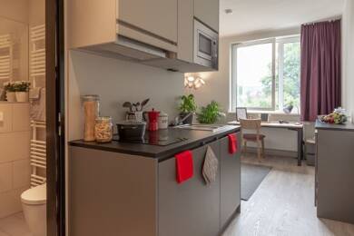 Studio zur Miete 519 € 1 Zimmer 20 m² 1. Geschoss Karl-Liebknecht-Straße 144 Südvorstadt Leipzig 04275