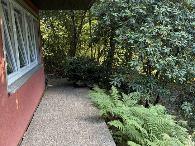 Einfamilienhaus zum Kauf 349.000 € 6 Zimmer 200 m² 2.764 m² Grundstück Am Sensberg 16 Hebstahl Oberzent 64760