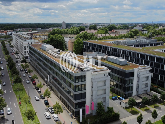 Bürofläche zur Miete 14 € 1.219,2 m² Bürofläche Ludwigshafen am Rhein 67061