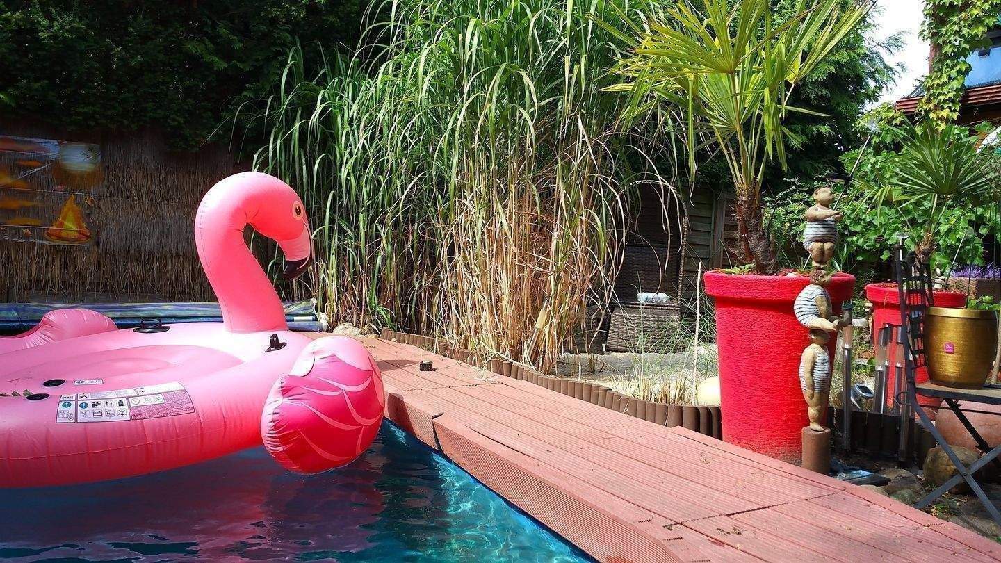 Property thumbnail 22