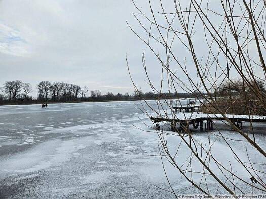 Einfamilienhaus zum Kauf 285.000 € 2 Zimmer 50 m² 213 m² Grundstück Teterow 17166