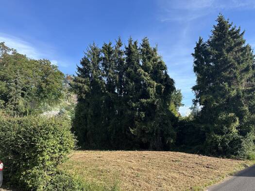 Grundstück zum Kauf 235.000 € 863 m² Grundstück Langerwehe 52379