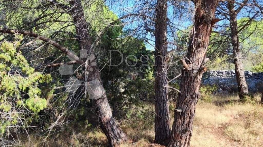 Land-/Forstwirtschaft zum Kauf 250.000 € Okrug