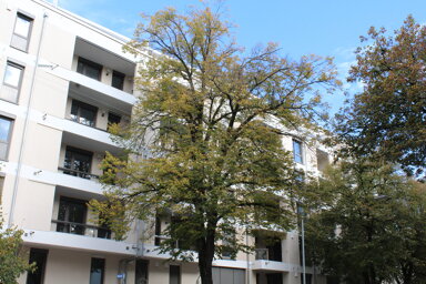 Wohnung zur Miete 1.240 € 4,5 Zimmer 91,9 m² 2. Geschoss Rielasinger Straße 13 Zeppelin - Realschule 61 Singen (Hohentwiel) 78224