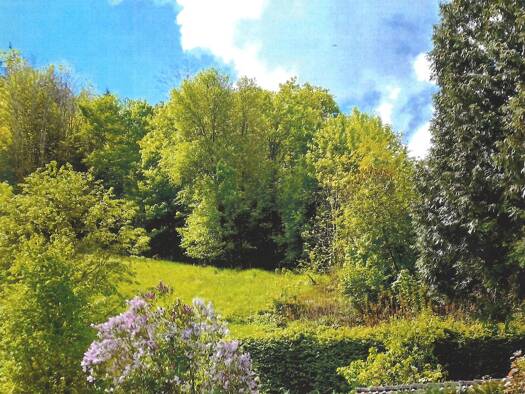 Grundstück zum Kauf 189.000 € 1.570 m² Grundstück Schramberg 78713