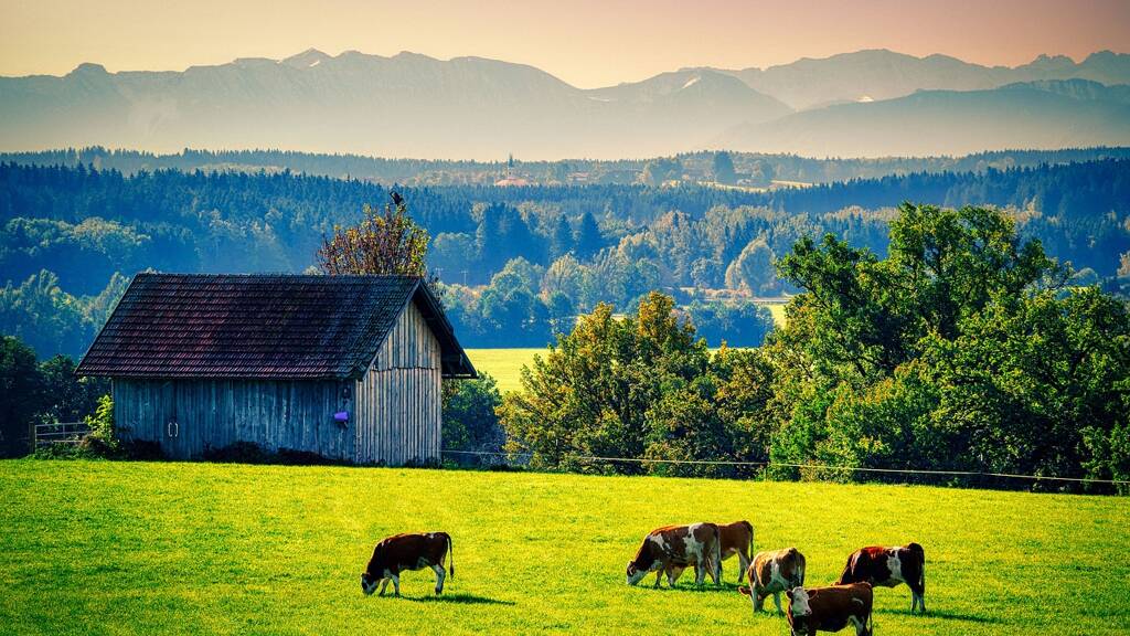 Land-/Forstwirtschaft zum Kauf 96.525 € 17.550 m² Grundstück Bittenau Unteregg 87782