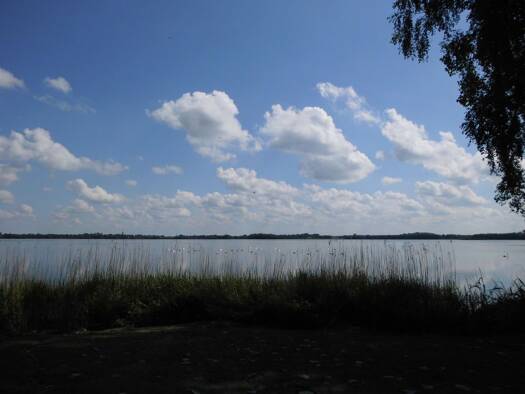 Wohnung zur Miete 1.400 € 2 Zimmer 50 m² frei ab sofort Klein Wittensee 24361