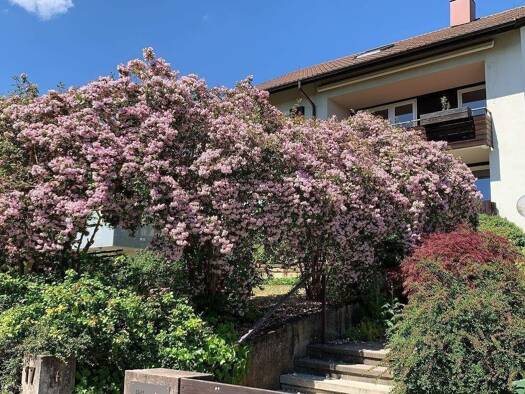 Mehrfamilienhaus zum Kauf 1.295.000 € 12 Zimmer 247 m² 581 m² Grundstück frei ab sofort Vaihingen Stuttgart 70569