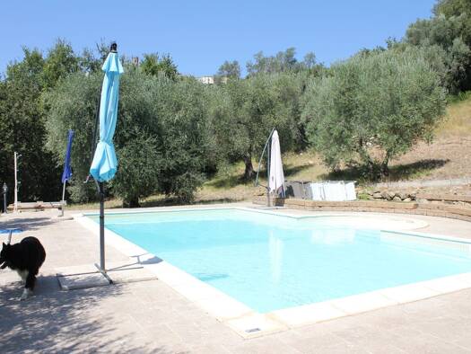Immobilie zum Kauf 780.000 € 12 Zimmer 220 m² 35.000 m² Grundstück frei ab 30.10.2026 Civitella Paganico 58023
