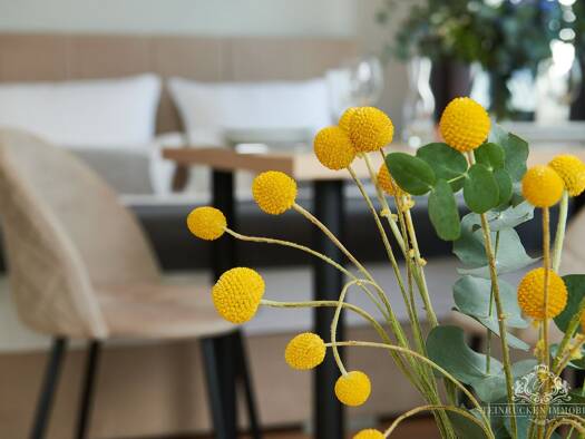 Wohnung zum Kauf 220.000 € 1 Zimmer 27,1 m² EG Baabe 18586