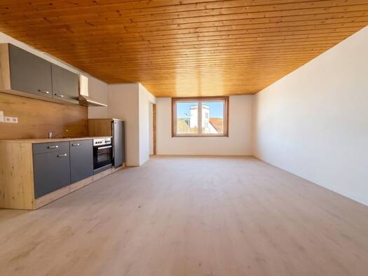 Wohnung zur Miete 850 € 1 Zimmer 63 m² Geschoss -3/3 frei ab 01.11.2026 Schaffhauser Straße 7 Tuttlingen Tuttlingen 78532