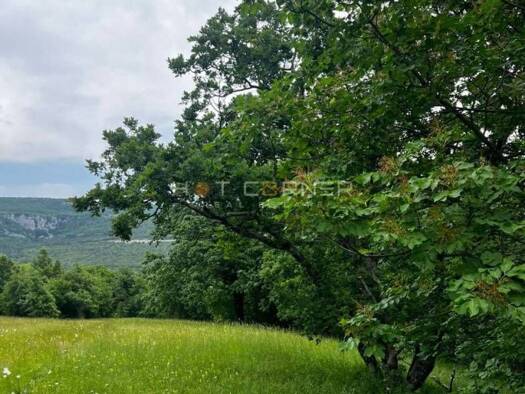 Acker-/Waldstück zum Kauf 22.900 € Vranje Selo, Vižinada Vižinada 52447