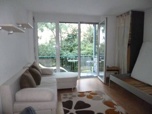 Wohnung zur Miete 460 € 1 Zimmer 30 m² 1. Geschoss frei ab 01.02.2026 Fürstenberg Konstanz 78467