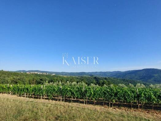 Acker-/Waldstück zum Kauf 385.500 € Buzet Buzet 52420