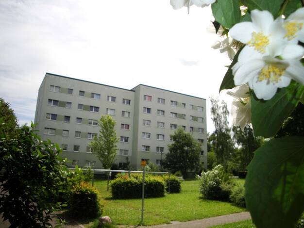 Wohnung zur Miete 290 € 1 Zimmer 25,2 m² 5. Geschoss Stollberger Straße 7 Thekla Leipzig 04349