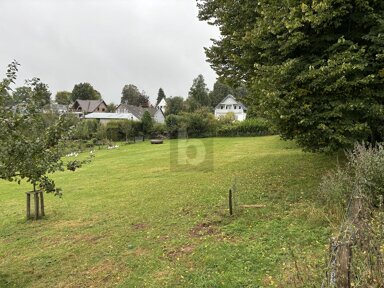 Grundstück zum Kauf 115.000 € 2.506 m² Grundstück Ramscheid Hellenthal 53940