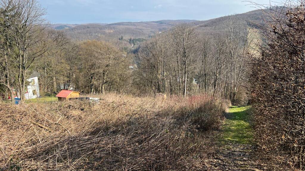 Grundstück zum Kauf 1.299.000 € 2.976 m² Grundstück Wien 1140