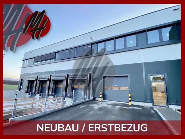 Halle/Industriefläche zur Miete 7.800 m² Lagerfläche Steinfurt 48565
