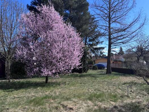 Grundstück zum Kauf 159.000 € 639 m² Grundstück frei ab 01.05.2026 Oranienburg 16515