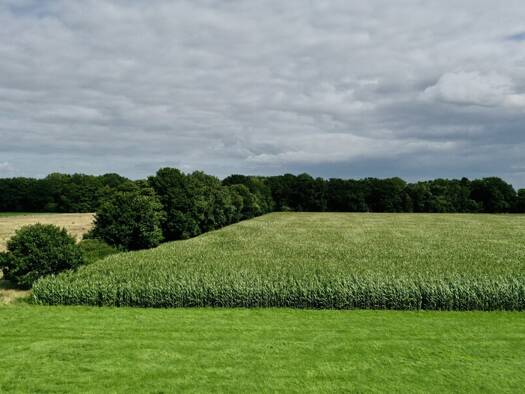 Land-/Forstwirtschaft zum Kauf 11.098 m² Grundstück Vollersode 27729