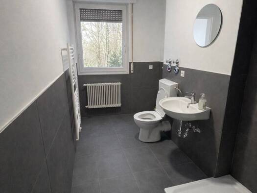 Wohnung zur Miete 699 € 2 Zimmer 60 m² Geschoss EG/4 frei ab sofort Werdohler Straße 31 Lüdenscheid 58511