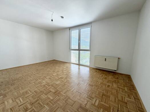 Wohnung zur Miete 350 € 1 Zimmer 42,9 m² 2. Geschoss Spittal an der Drau 9800