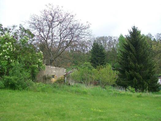 Grundstück zum Kauf provisionsfrei 6.000 € 749 m² Grundstück frei ab sofort Nehlitzer Hauptstraße Nehlitz Petersberg 06193