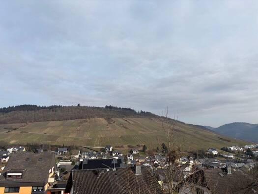 Wohnung zur Miete 445 € 1 Zimmer frei ab 01.02.2026 Lieser 54470