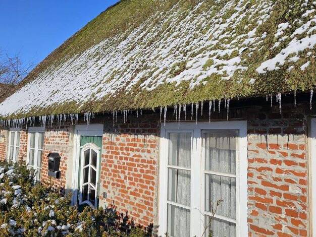 Einfamilienhaus zum Kauf 165.000 € 3 Zimmer 63 m² 357 m² Grundstück Kollmar 25377