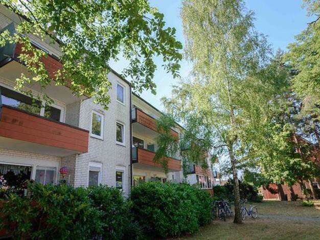 Wohnung zur Miete 500 € 1 Zimmer 40,3 m² 1. Geschoss frei ab 30.08.2025 Trift 15 Geesthacht 21502