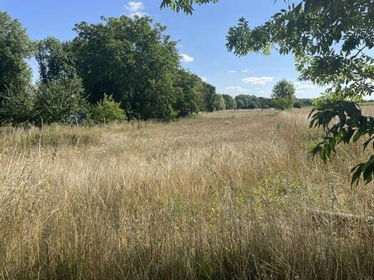 Land-/Forstwirtschaft zum Kauf 2.134 m² Grundstück Uffenheim Uffenheim 97215