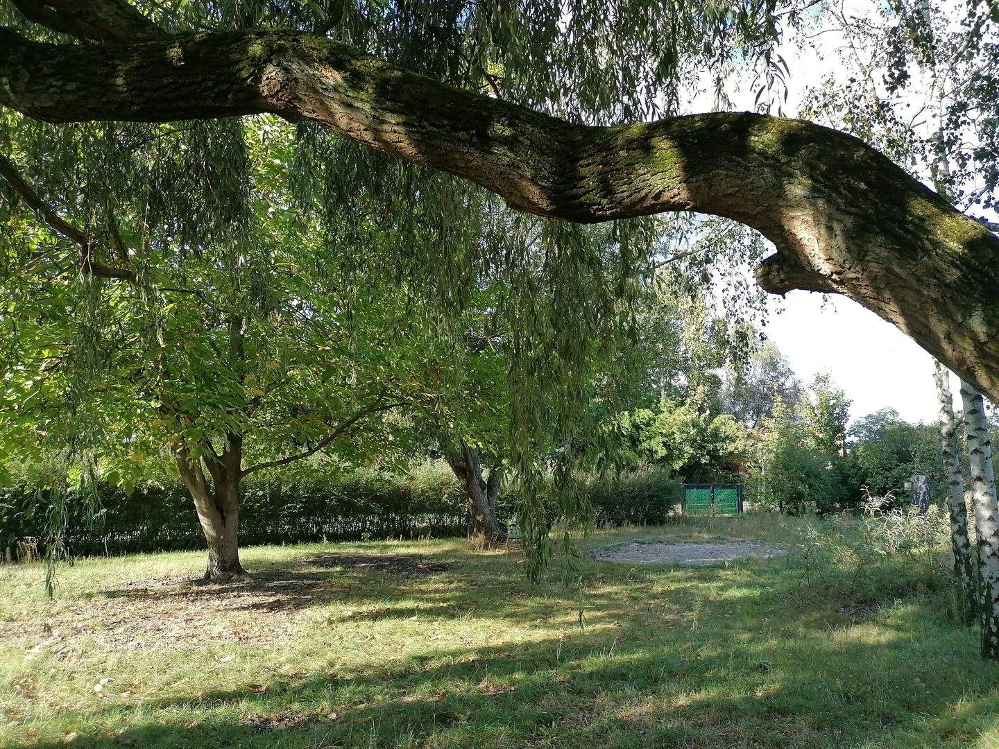 Property thumbnail 3