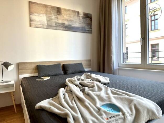 Wohnung zur Miete auf Zeit 1.100 € 2 Zimmer 44 m² frei ab 01.11.2026 Zentrum-Südost Mitte 04103