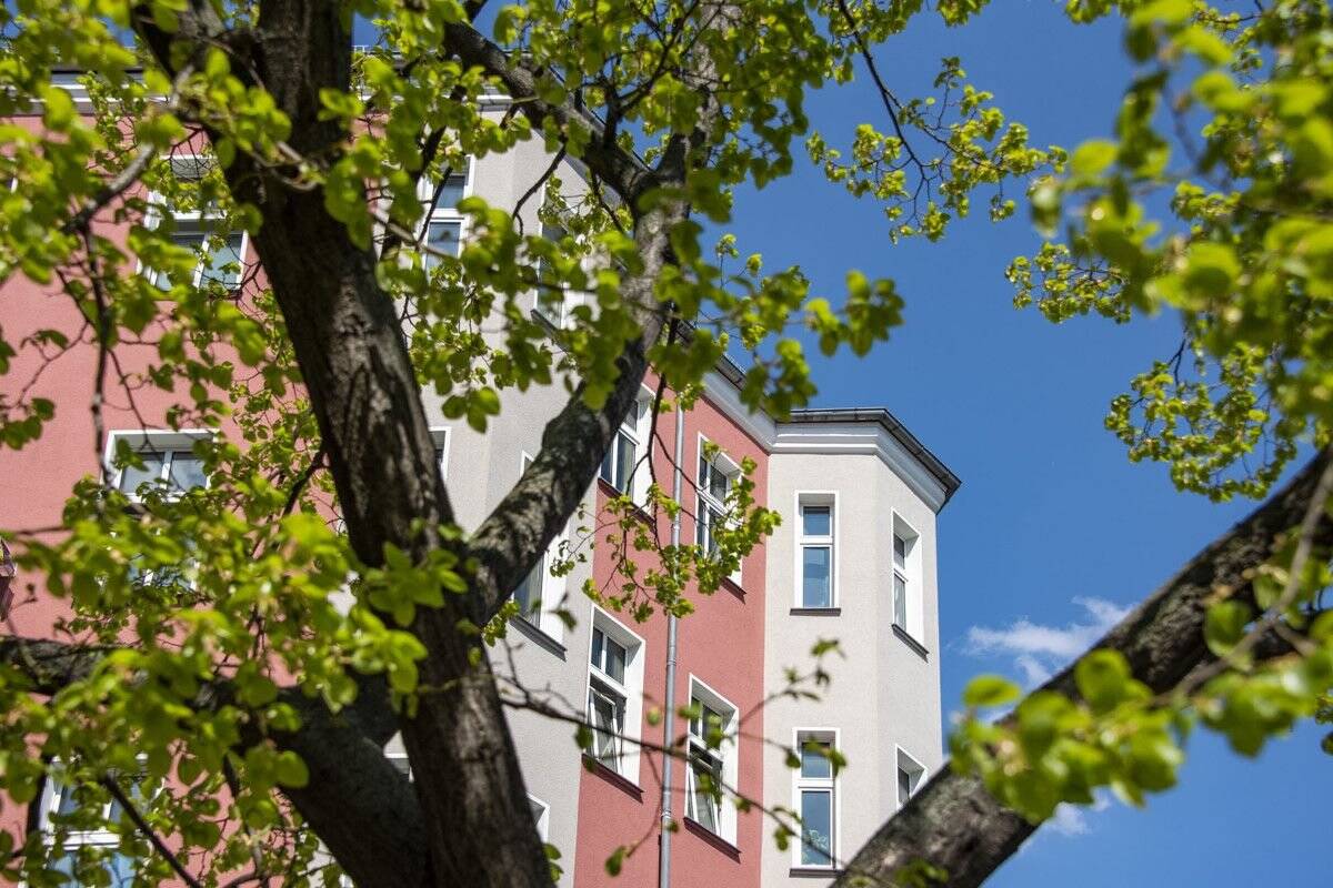 Kapitalanleger *aufgepasst*: PROVISIONSFREIE Eigentumswohnung im Prenzlauer Berg - Helmholtzkiez – Wichertstraße 43, 10439 Berlin – Vorschaubild 9