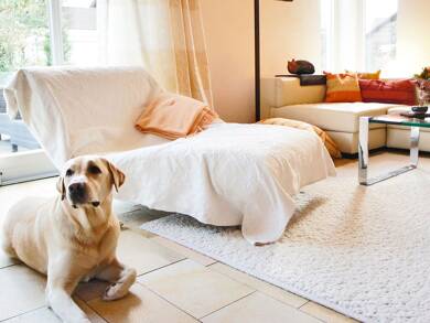 Einfamilienhaus zum Kauf 1.100.000 € 6 Zimmer 195 m² 660 m² Grundstück Unterschwillach Ottenhofen 85570