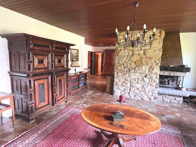 Immobilie in Ladbergen - Großzügiges Haus mit attraktivem Grundstück im Zentrum von Ladbergen - Bild 4